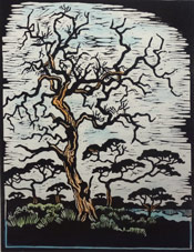 Gregoire Boonzaier