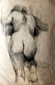 caroline van der merwe
