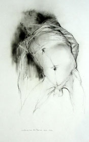 CAROLINE VD MERWE