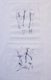 caroline van der merwe
