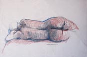 Caroline van der Merwe