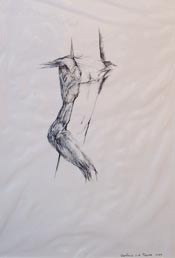 caroline van der merwe