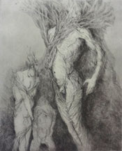 Caroline van der Merwe