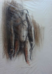 Caroline van der Merwe
