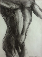 Caroline van der Merwe
