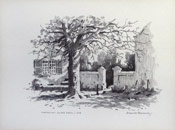 Douglas Treasure