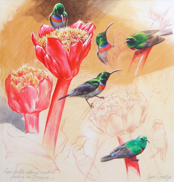 INGRID WEIERSBYE
