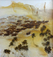 Joan Schrauwen