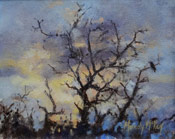 Mandy McKay