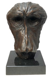 Noel Ashton