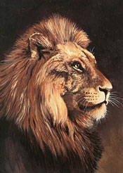 Ron Waldeck