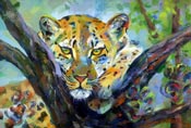 Sylvia de Villiers